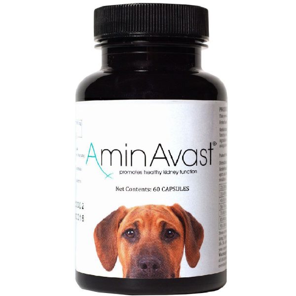 AminAvast Kidney Support for Dogs (60 capsules)